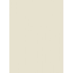 Bisque Corian