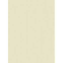 Bone