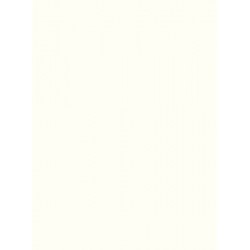 Glacier White Corian Glacier White Corian