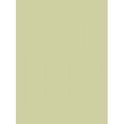 Noble Ecru Corian