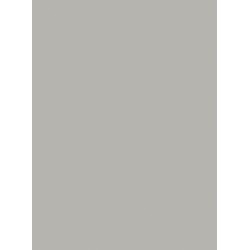 Silver Gray Corian