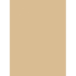 Absolute Beige