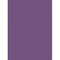 Chic Aubergine