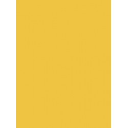 Imperial Yellow Corian
