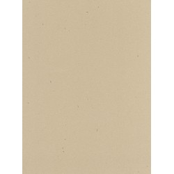 Raffia Corian
