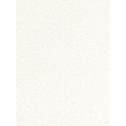 Antarctica Corian