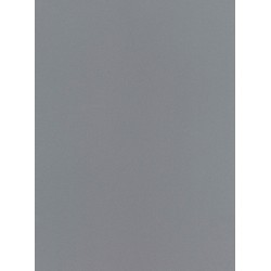 Silverite Corian