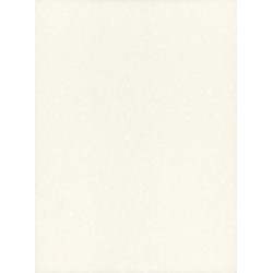 Arctic Ice Corian