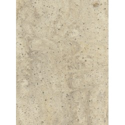 Burled Beach Corian