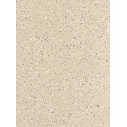 Fossil Corian