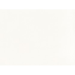 Salt Corian